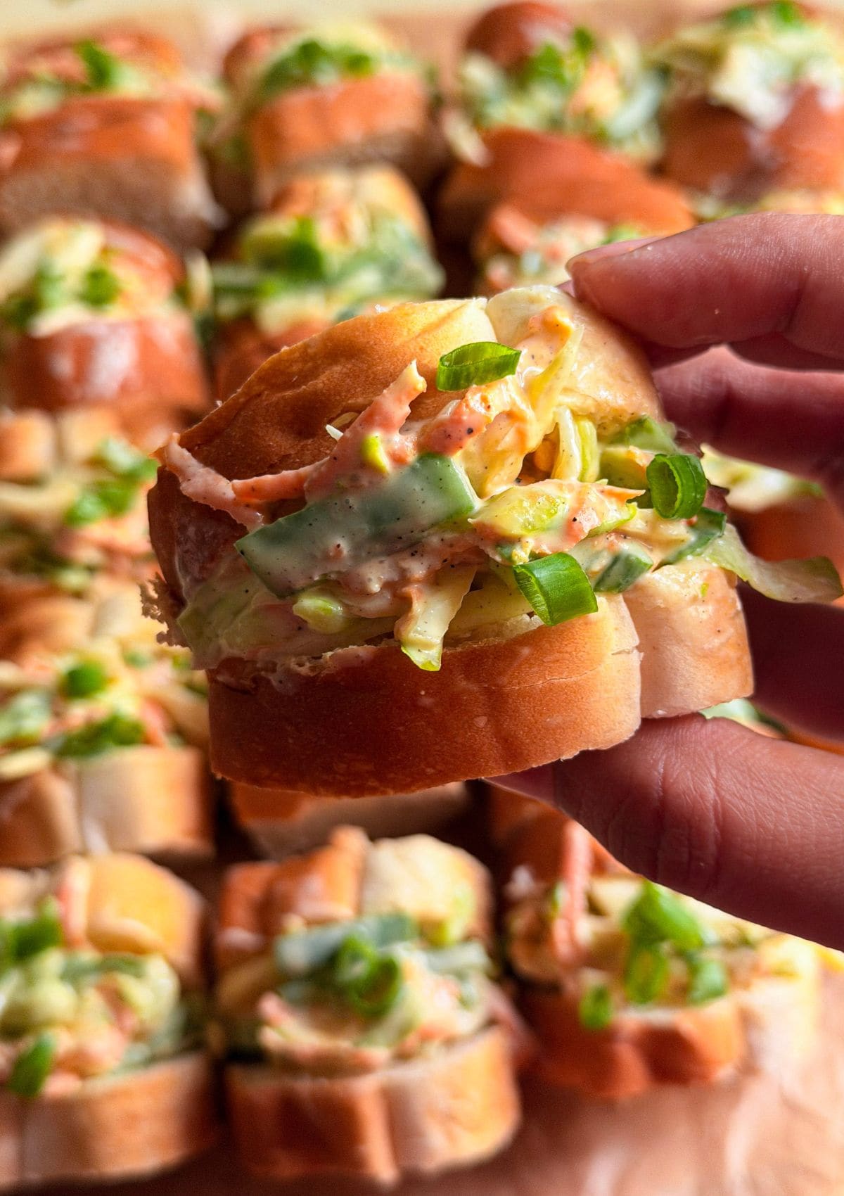 one sandwich shown up close.