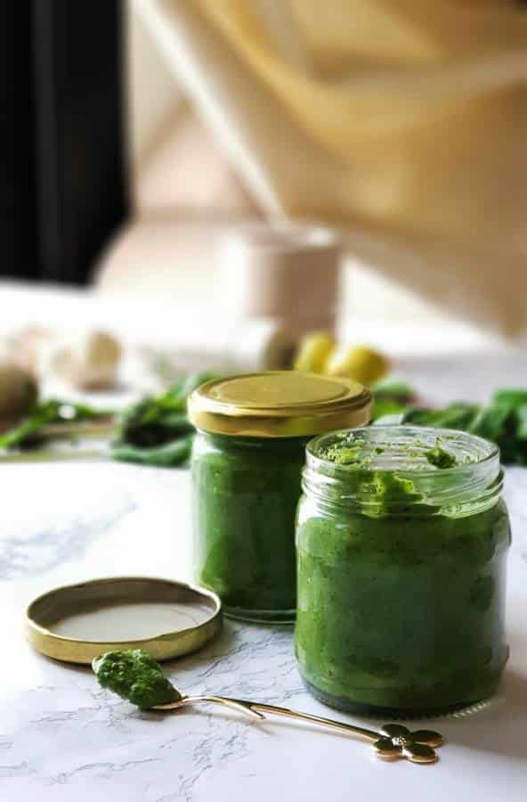 6 green chilies 1 bunch mint leaves plucked from stem and washed 1 bunch coriander leaves washed 6 cloves garlic 1/2 tsp salt 1 tbsp olive oil 1 tsp vinegar Juice of 2 lemons 1/4 cup water