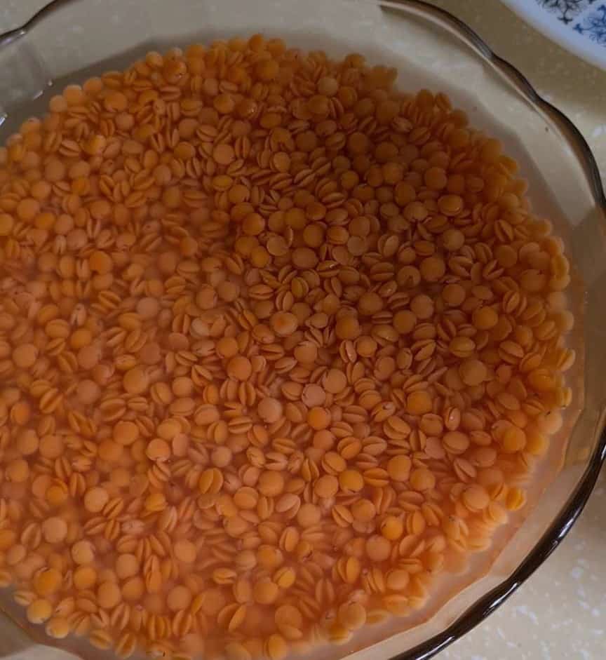 soaked masoor dal or red lentils in a bowl